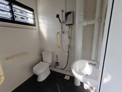 Blk 446 Tampines Street 42 (Tampines), HDB 3 Rooms #572569551